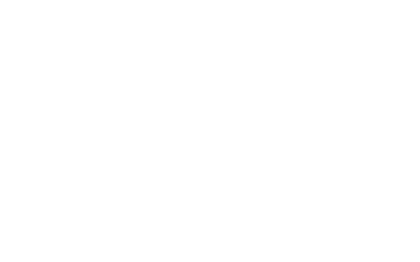 FREIE KÜNSTE E.V.